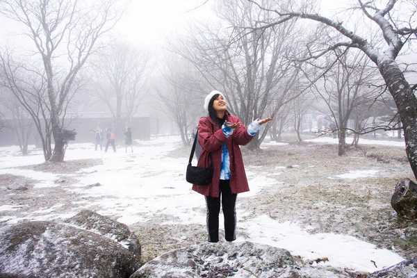Мандрівки Техаські Жінки Подорожують Виставляють Портрет Снігового Покриву Вкритого Лісом — стокове фото