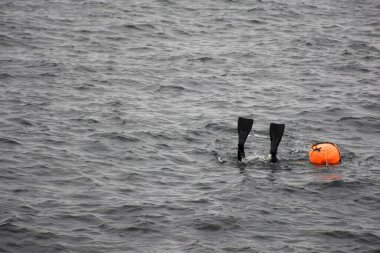 Haenyeo kadın dalgıçları ya da haenyo kadınları Güney Kore Jeju Adasındaki Jeju Adası 'nı ziyaret etmek için Iho Tewoo sahilindeki deniz altında deniz kulağı kabukları tutmak için dalış yapıyorlar.