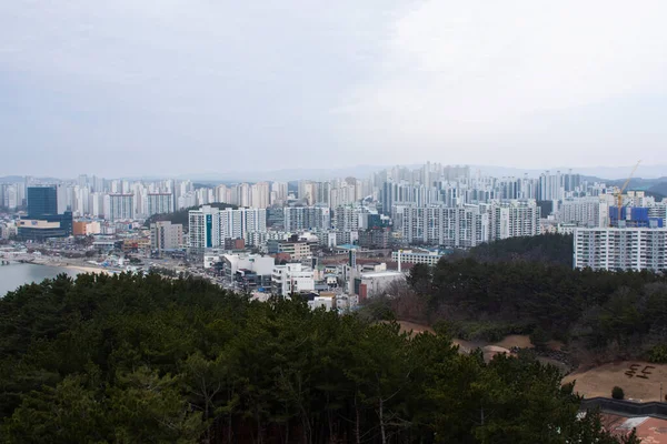 Ansicht Landschaft Hwanho Sonnenaufgang Garten Park Und Stadtbild Von Pohang — Stockfoto