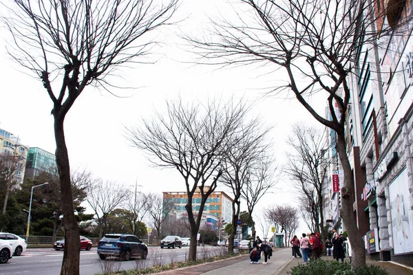 Krajobraz Cityscape Budynków Centrum Miasta Stylu Życia Koreańczyków Żyjących Ulicy — Zdjęcie stockowe