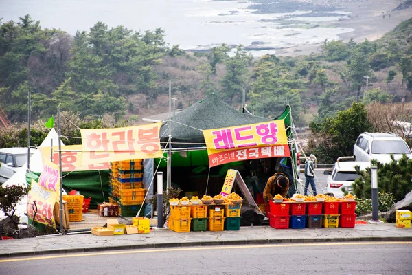ホーカー屋台の生活習慣韓国の伝統的な人々は 韓国人の旅行者のための通りのバザー市場でみかんの果物を販売する2月に購入を選択します18 2023済州 韓国で — ストック写真