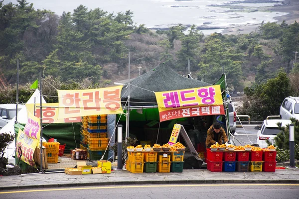Leven Levensstijl Van Havikskraam Traditionele Koreaanse Mensen Koop Hallabong Mandarijn — Stockfoto