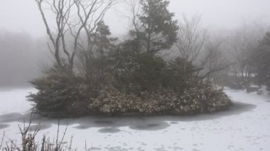 Manzara ve kar, Jeju Adası Jeju-do Güney Kore 'deki Kore ziyareti için Hanla Dağı' ndaki ormanda donmuş göl suyuyla kaplı bir bitki ağacına veya Hallasan Ulusal Parkı 'ndaki Halla Dağı' na düşüyor.