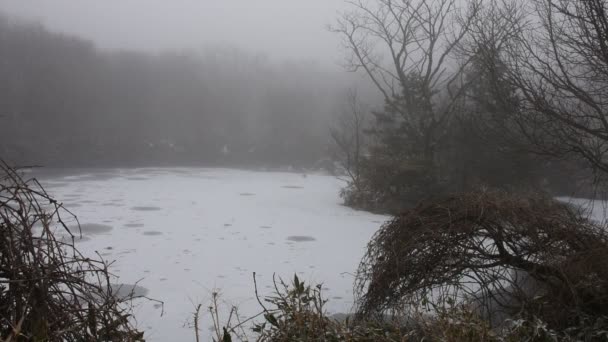 Landschaft Und Schnee Fallen Auf Pflanzbaum Mit Teichsee Wasser Gefroren — Stockvideo