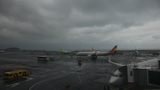 韓国人労働者2023年2月18日に済州国際空港で暴風雨が発生する中 韓国人航空会社の地上スタッフが滑走路で空を飛ぶ準備をしています — ストック動画