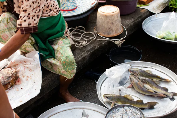 Peixe Água Doce Tailandês Venda Fishmonger Fresco Para Pessoas Viajantes — Fotografia de Stock