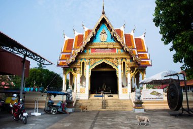 Tayland halkı için antik antik antik bir tapınak. 12 Mart 2023 'te Wat Koh Lak Tapınağı' nda, Tayland 'ın başkenti Khiri Han' da yapılan ibadete saygı gösterip, Buda heykelini kutsasın.