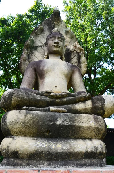 Antico Atteggiamento Buddha Meditazione Protetto Coprire Testa Serpente Mitico Antico — Foto Stock