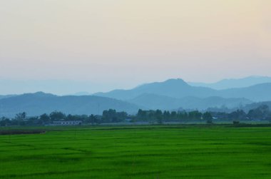 Tayland 'ın Chiang Rai kentindeki Mae Khachan şehrini ziyaret eden insanlar için şehir kırsalının kırsal ve dağ tepelerindeki çeltik pirinç tarlalarını ve manzara tarlalarını gezin.