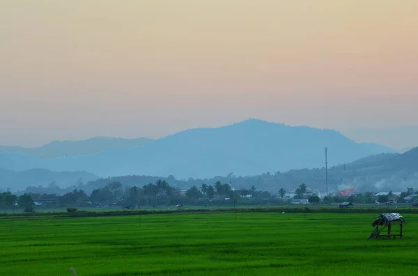 位于泰国清莱市梅哈昌市的泰国人朝阳旅行游览城市景观农村农田和稻田及高山小丘 — 图库照片