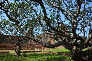 Wat Phra Sri Rattana Mahathat Tapınağı 'nın antik harabeleri ve antik mimarisi Tayland' ın Lop Buri kentindeki Lopburi şehrinde dua ederek Tayland halkına ve yabancı gezginlere saygıdan ziyaret ediyor.