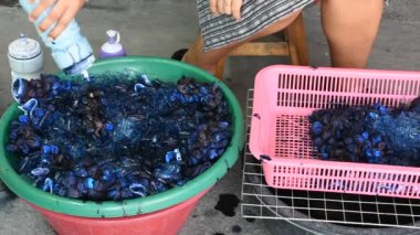 Batik ikat 'te çalışan Taylandlı usta teknisyen veya profesyonel sanatçı veya ressam Bang Bua Thong of Nonthaburi, Tayland' daki el işi atölyesinde ve el yapımı atölyede buzla boyanmış boya pigmentleriyle boya renginde çalışıyor.
