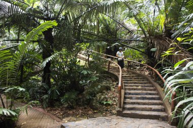Taylandlı kadın gezginler, Tayland 'ın Uthai Thani kentindeki Lan Sak şehrinde Hup Pa Tat mağara vadisinde ve Tham Prathun' daki Khao Pla Ra kireçtaşı dağında gezici gezginler ve gezgin gezginler.