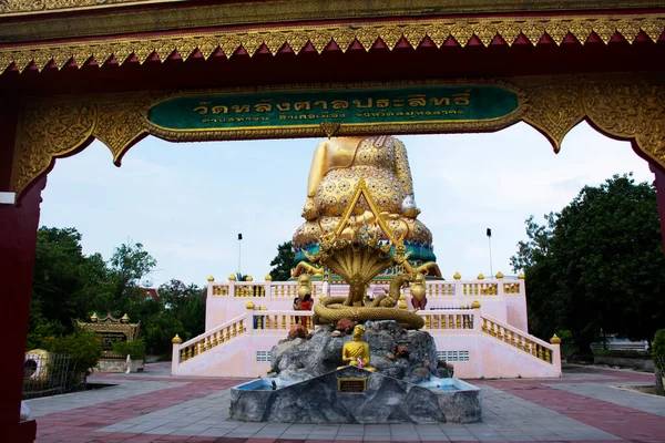 ゴータマ仏教またはゴータマ カタヤナ仏教またはプラーは タイのサムート サフコンで 9月24日 2023日 タイのタ チャロームでワット ラング プラシット寺院で祈願するタイの人々のためにブッダを歌いました — ストック写真