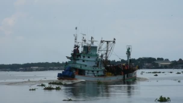 Trabajadores Pesqueros Tailandeses Navegan Barco Pesquero Mar Después Capturar Peces — Vídeo de stock