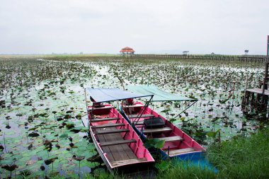 Tayland 'ın Khiri Han kentindeki Kui Buri şehrinde Tayland halkının seyahat gezisi için Doğal Çalışma Merkezi Tatlı Su Bataklığı ve Bueng Bua Khao Sam Roi Yot Milli Parkı' nın dönüm noktası.