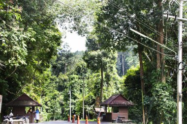 Taylandlı gezginler için giriş ve güvenlik bileti standı Namtok Yong Şelaleleri Ulusal Parkı Tenasserim Hills 'i ziyaret etmek için 11 Ekim 2023' te Nakhon Si Thammarat, Tayland