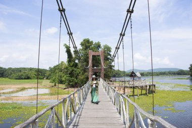 Chom Kwang Köprüsü veya Tayland 'ın Chumphon kentinde yerel gezginler için Nong Yai Kraliyet Kalkınma Projeleri ve Regülasyon Rezervasyonunda geyik parkı ve ekosistem cazibesi