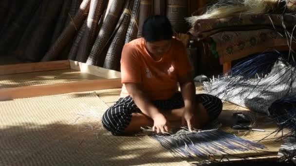 2023年10月12日在泰国Phatthalung举行的手工艺工作室工作坊上展示的泰国工艺技术人员和当地专业工匠编织柳条手工制作的独特Krachut或Sedge产品 — 图库视频影像