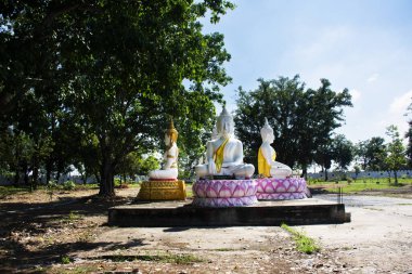 Taylandlılar için antik beyaz Buda heykeli gezginler için antik bir ilahi melek dua ve bereket ve şans dileyin Suphan Buri Tayland 'daki Wat Noi Luang Phor Niam tapınağında kutsal gizem