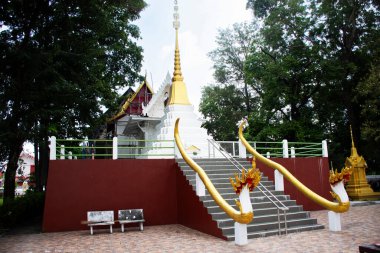 Tayland 'ın başkenti Ayutthaya' daki Wat Pradu Songtham Tapınağı 'ndaki kutsal gizem ve efsaneye dua etmek için seyahat eden Taylandlılar için antik pagoda stupa chedi' deki Buda 'nın kalıntıları.