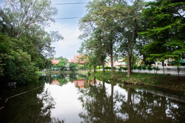 Tayland 'da, Phra Nakhon Si Ayutthaya' da gezginler için Antik Wat Pradu Songtham Tapınağı 'ndaki bahçe havuzunun manzarası.