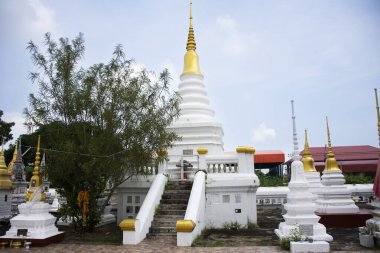 Tayland 'ın başkenti Ayutthaya' da 4 Kasım 2023 'te, Tayland halkının ziyaret ettiği ve dua ettiği antik mezarlık olan Wat Pradu Songtham Tapınağı' nda pagoda stupa ya da yakma vazosu.