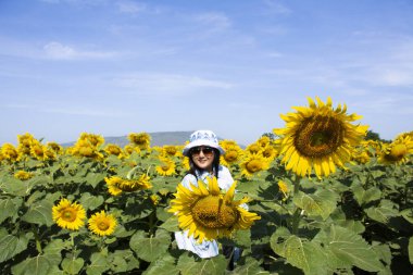 Gezginler, Tayland 'ın Lop buri kentindeki Saraburi ve Lopburi kırsallarındaki Helianthus Annuus flora ağaç bahçesi park alanını gezerek geziyorlar.