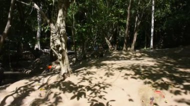 Taylandlı küçük çocuk, çocuk ve ebeveyn gezgin Namtok Sai Yok Noi şelalesinde ya da Tayland, Kanchanaburi 'de Saiyok şehrinde Nam Tok Khao Phang Şelaleleri' nde yüzerek geziyorlar.