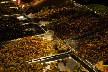 Taylandlı tüccar yerel egzotik yemekleri böcekler ve bitkisel ya da yiyecek kızartmalarıyla pişirdi. Satılık seyyar satıcılar için tezgah hazırladı. İnsanlar Nonthaburi Tayland 'daki sokak pazarına seyahat ediyor.