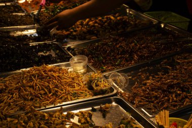 Taylandlı tüccar yerel egzotik yemekleri böcekler ve bitkisel ya da yiyecek kızartmalarıyla pişirdi. Satılık seyyar satıcılar için tezgah hazırladı. İnsanlar Nonthaburi Tayland 'daki sokak pazarına seyahat ediyor.