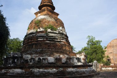 Antik harabeler ve antik harabeler Thai halkı için stupa chedi gezginler Wat Maheyong tapınağındaki Ayutthaya Tayland 'daki tarihi miras alanında mistik bir efsaneyi ziyaret ediyorlar.