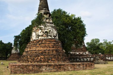 Antik harabeler ve antik harabeler Thai halkı için stupa chedi gezginler Wat Maheyong tapınağındaki Ayutthaya Tayland 'daki tarihi miras alanında mistik bir efsaneyi ziyaret ediyorlar.