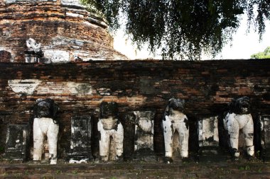 Antik harabeler ve antik harabeler Thai halkı için stupa chedi gezginler Wat Maheyong tapınağındaki Ayutthaya Tayland 'daki tarihi miras alanında mistik bir efsaneyi ziyaret ediyorlar.