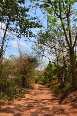 Asfalt olmayan Lateritik yol veya yanal ruj, Tayland 'ın başkenti Suphan Buri' deki Phu Toei Ulusal Parkı 'ndaki Ban Taphoen Khi köyüne araç yolculuğu için Khao Thewada Dağı' ndaki kırmızı toprak caddesini kirletti.
