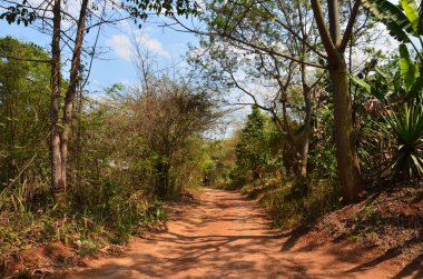 Asfalt olmayan Lateritik yol veya yanal ruj, Tayland 'ın başkenti Suphan Buri' deki Phu Toei Ulusal Parkı 'ndaki Ban Taphoen Khi köyüne araç yolculuğu için Khao Thewada Dağı' ndaki kırmızı toprak caddesini kirletti.