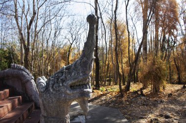 Tayland, Tayland 'da Phanom Sawai Orman Parkı' nda antik Naga merdivenleri inşa etmek gezginler için dua ederek Buda 'yı ziyaret etmek ve kutsal gizemi kutsamak için Tayland, Surin' deki Prasart şehrinde