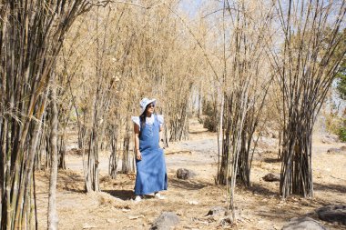 Gezgin Taylandlı kadınlar, Tayland 'ın Lop Buri kentindeki Khao Phraya Doen Tanga Dağı' nda sonbahar mevsiminde bambu yapraklarının renk değiştirmesiyle birlikte bahçe parkında fotoğraf çektirmek için poz vererek seyahat ederler.