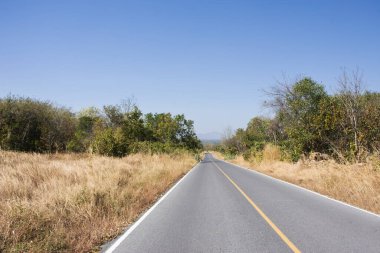 Tayland 'ın Lopburi kentindeki Phatthana Nikhom şehrindeki Khao Phraya Doen Thong dağına seyahat eden gezginler için orman ve kırsal sokak yolunu izleyin.