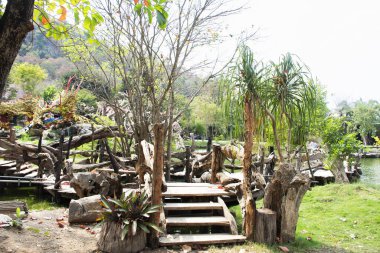 Tayland 'ın başkenti Uthai Thani' de Banrai 'deki Wat Tham Khao Prathun Tapınağı' nı ziyaret eden Tayland halkı için bahçe parkında antik Çin ejderhası ve tahta yılan naga bahçeleri oyan sanat eseri.