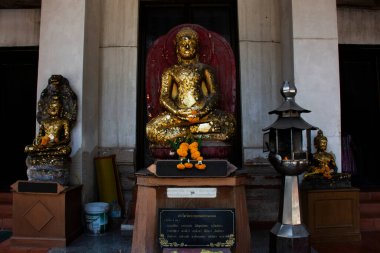Wat Nang Kui Tapınağı 'nın antik harabelerinde antik Buda' nın kalıntıları. Gezginler seyahat eder ve dua eder. 21 Ocak 2024 'te Ayutthaya, Tayland' da kutsal mistik mitolojiyi ziyaret eder ve dua ederler.