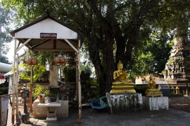 Wat Nang Kui Tapınağı 'nın antik harabelerinde antik Buda' nın kalıntıları. Gezginler seyahat eder ve dua eder. 21 Ocak 2024 'te Ayutthaya, Tayland' da kutsal mistik mitolojiyi ziyaret eder ve dua ederler.