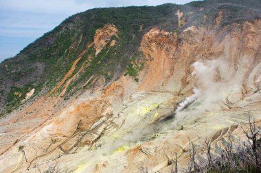Hakone Dağı 'nın son patlaması ve sülfür buharı ve sıcak nehirleri sırasında Japonya' nın Kanagawa eyaletindeki Hakoneyama şehrinde seyahat eden Japonlar için Owakudani dağ kraterine bakın.