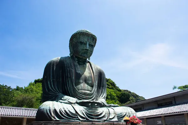 stock image Kamakura Daibutsu or Amida Buddha bronze statue in Kotoku-in pagoda or Kotokuin Temple for japanese people travelers travel visit respect praying in Fujisawa Enoshima at Kanagawa city in Kanto, Japan