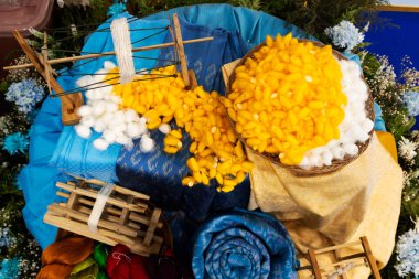 Bombyx mori kozası ya da koza ipeği solucanı ve Tayland 'daki gezginler için ipekten kumaşlı ipeklerle dokuma dokusuna ipek serpiştirmek için Tayland tarımcısının geleneksel antika aletleri.