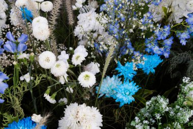 Renkli beyaz çiçekler, açık mavi flora ve yeşil yapraklı mor çiçek. Bahçe parkında yeşil yaprak ağacı. Tayland gezginleri için tropikal tazelik.