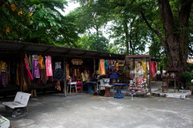 Taylandlı gezginler için antik ve gizemli tapınak Chao Mae Takhian Tanga Tapınağı. 5 Kasım 2024 'te, Tayland' ın Ayutthaya kentindeki Wat Pradu Songtham Tapınağı 'nda kutsanmış kutsal gizeme saygı duyun.