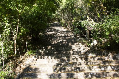 Thai halkı için Wat Khao Wong Narai Mağara Tapınağı 'nın zirvesine giden dağ yolu üzerindeki ormanda merdivenlere çıkın. Gezginler, Tayland, Saraburi' de Buda 'ya saygı göstermek için yürüyüş parkuruna gidin.