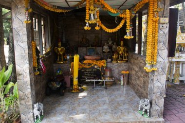 17 Kasım 2024 'te Nakhon Nayok, Tayland' da, Büyükbaba Tapınağı 'ndaki Wat Dong Lakhon ya da Pa MuangLaplae Tapınağı' na saygı duyulur.