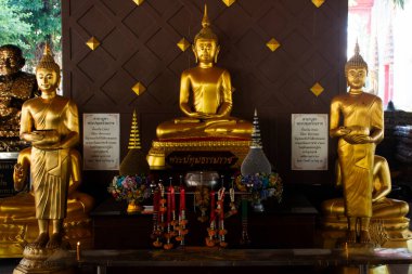 Antik Buda Phra Pathum Thammarat heykeli. Tayland 'ın Pathum Thani şehrinde 30 Aralık 2024 tarihinde Sam Khok' taki Wat Robot Tapınağı 'nda kutsansın.